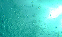 Bubbles